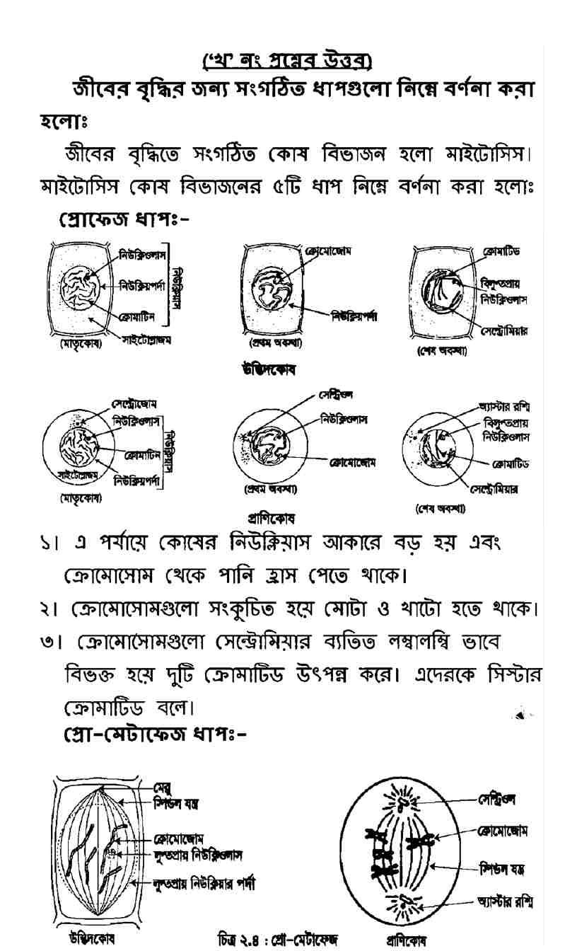 অষ্টম শ্রেণির বিজ্ঞান ৫ম সপ্তাহের অ্যাসাইনমেন্ট উত্তর ২০২২