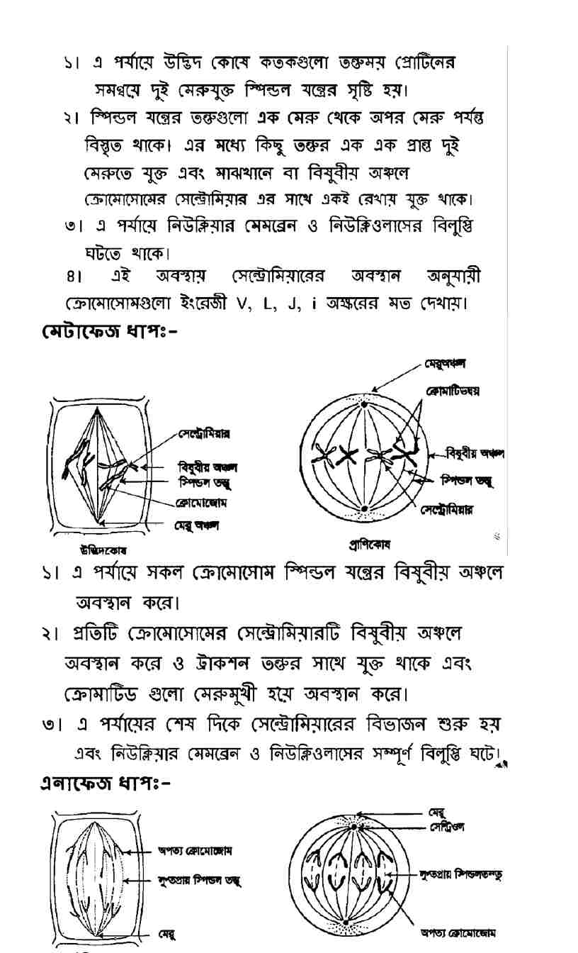 অষ্টম শ্রেণির বিজ্ঞান ৫ম সপ্তাহের অ্যাসাইনমেন্ট উত্তর ২০২২