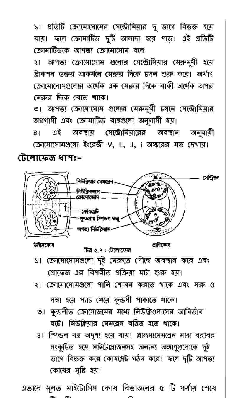 অষ্টম শ্রেণির বিজ্ঞান ৫ম সপ্তাহের অ্যাসাইনমেন্ট উত্তর ২০২২