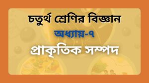 Read more about the article চতুর্থ শ্রেণির বিজ্ঞান অধ্যায় ৭ প্রাকৃতিক সম্পদ